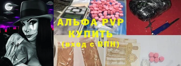 прущие грибы Балахна